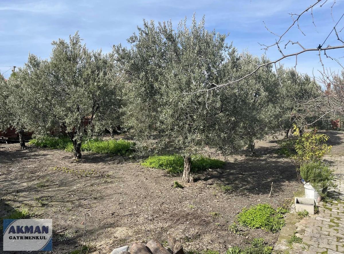 Süleymanlı Mh De 520 M2 Arsanın İçerisinde Müstakil Ev - 28