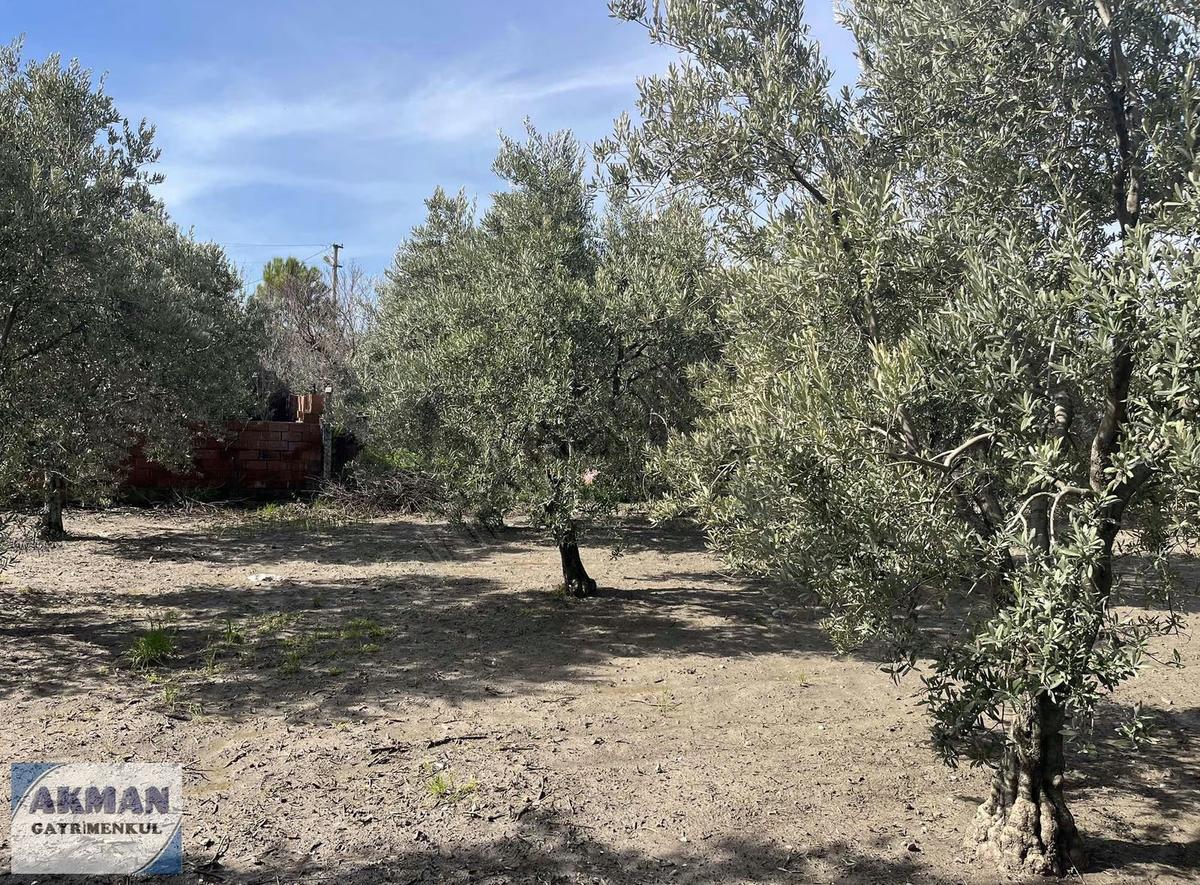 Süleymanlı Mh De 520 M2 Arsanın İçerisinde Müstakil Ev - 31