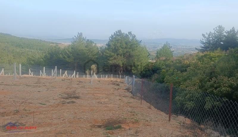 Menderes Çatalca'da Satılık Hisse Tapu Tarla - 5