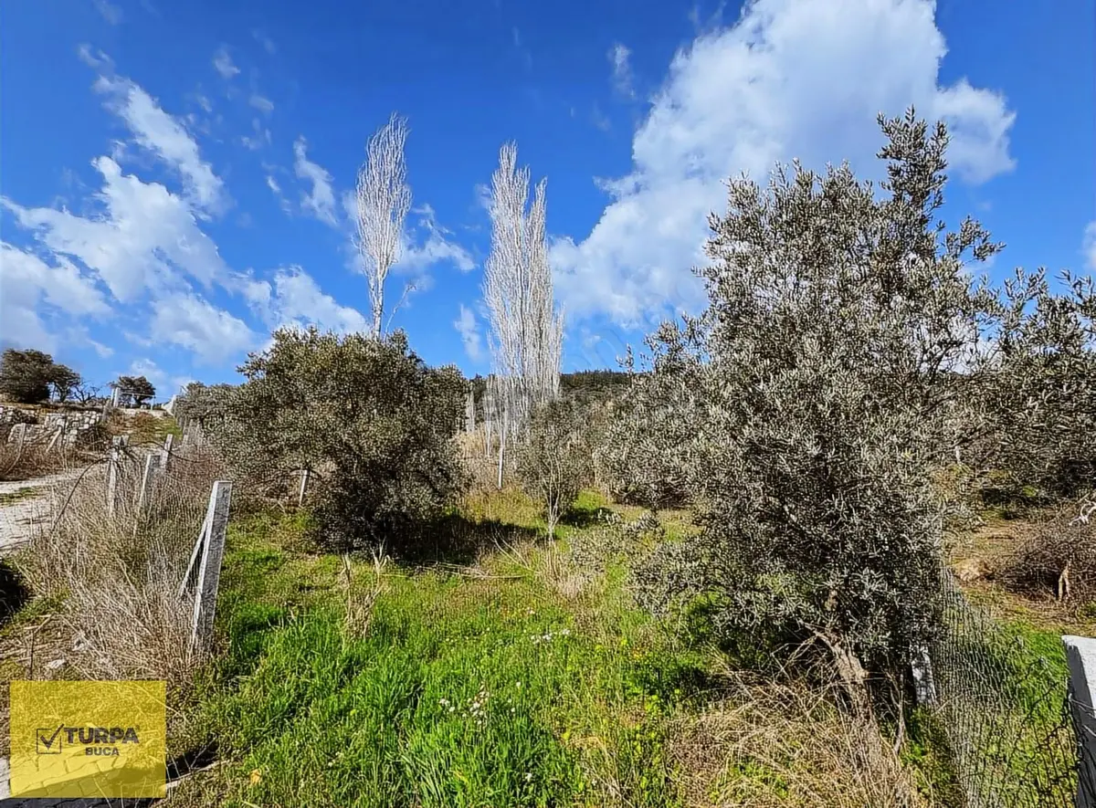 Turpa Buca'dan Çakırbeyliğinde 300 M² Tapulu Yer - 3