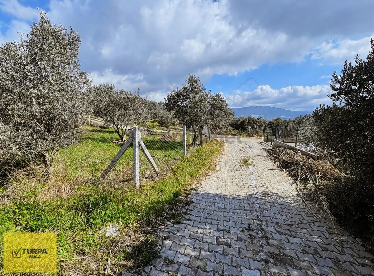 Turpa Buca'dan Çakırbeyliğinde 300 M² Tapulu Yer - 5