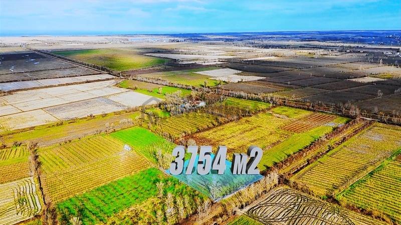 Öz-emmaxdan Terme İmanalisi Köyünde 3754 M2 Satılık Tarla - 4