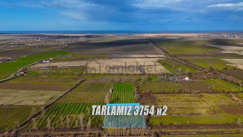 Öz-emmaxdan Terme İmanalisi Köyünde 3754 M2 Satılık Tarla - 3