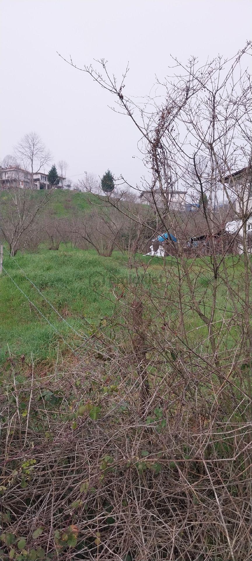 Yaşam Emlak Tan Satılık Bağ Bahçe - 23