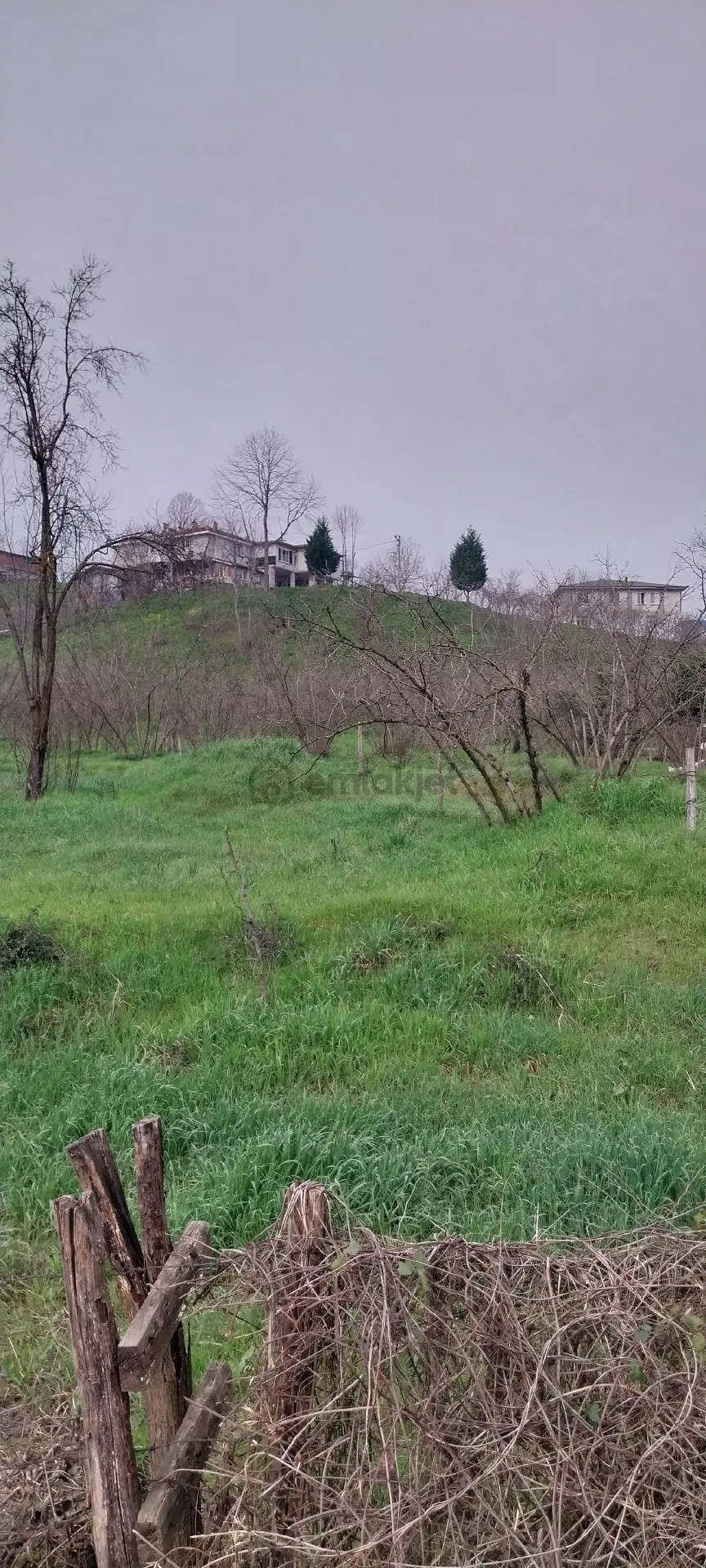 Yaşam Emlak Tan Satılık Bağ Bahçe - 12