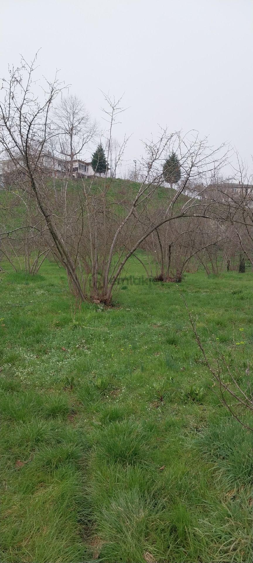Yaşam Emlak Tan Satılık Bağ Bahçe - 7