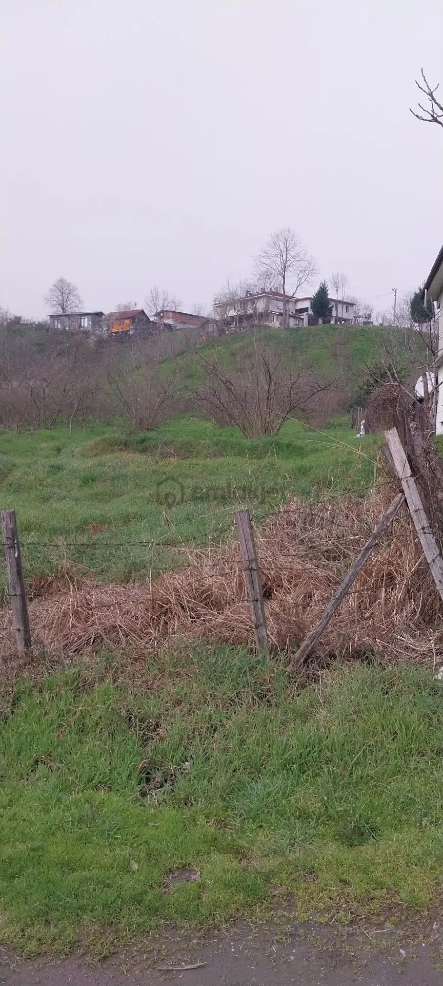 Yaşam Emlak Tan Satılık Bağ Bahçe - 15