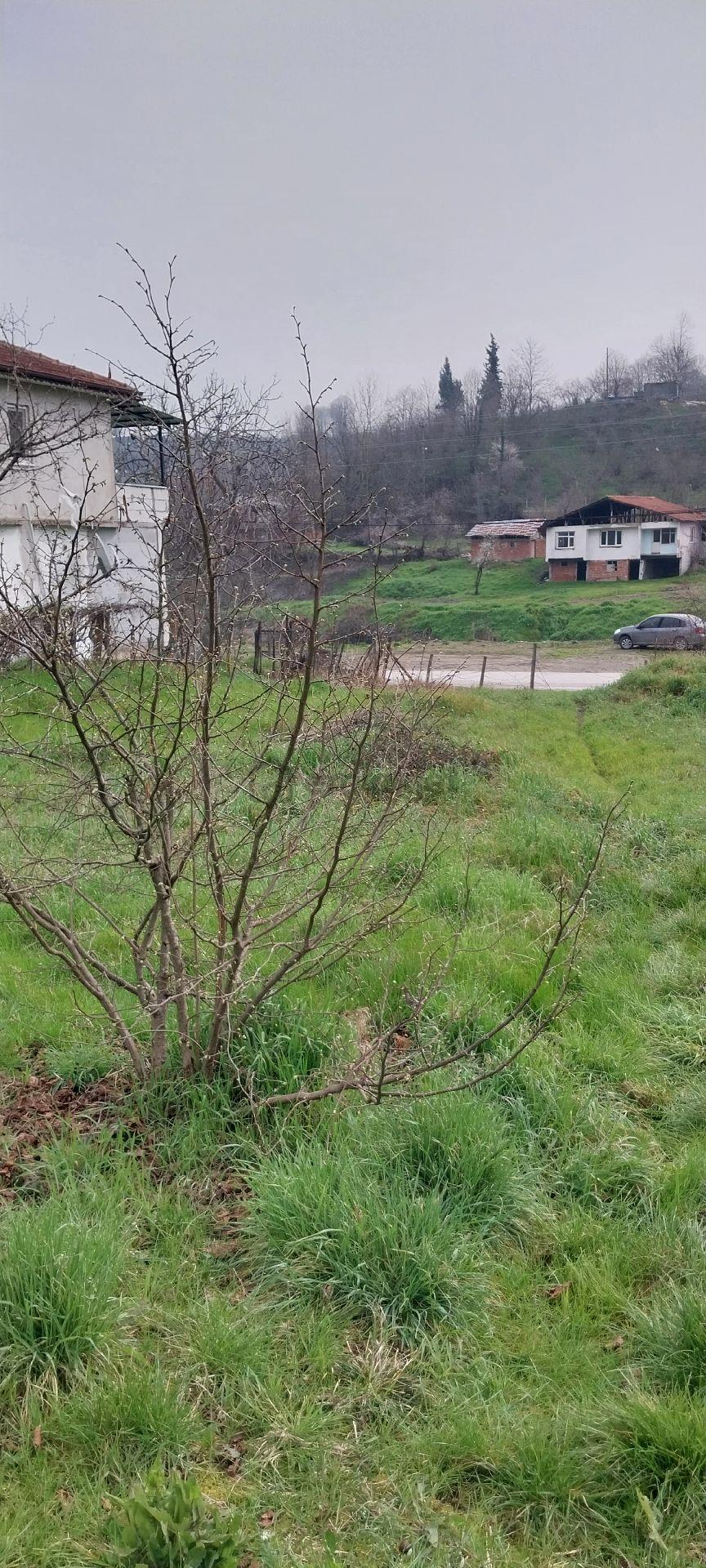 Yaşam Emlak Tan Satılık Bağ Bahçe - 5