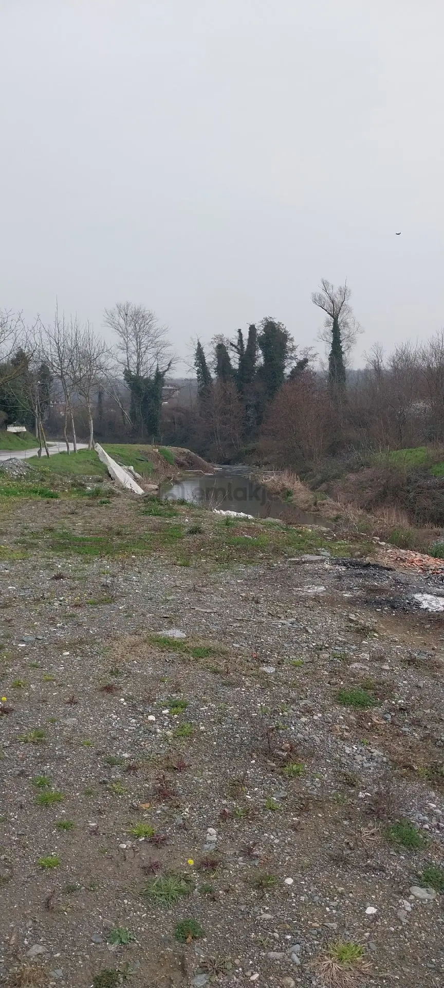 Yaşam Emlak Tan Satılık Bağ Bahçe - 21