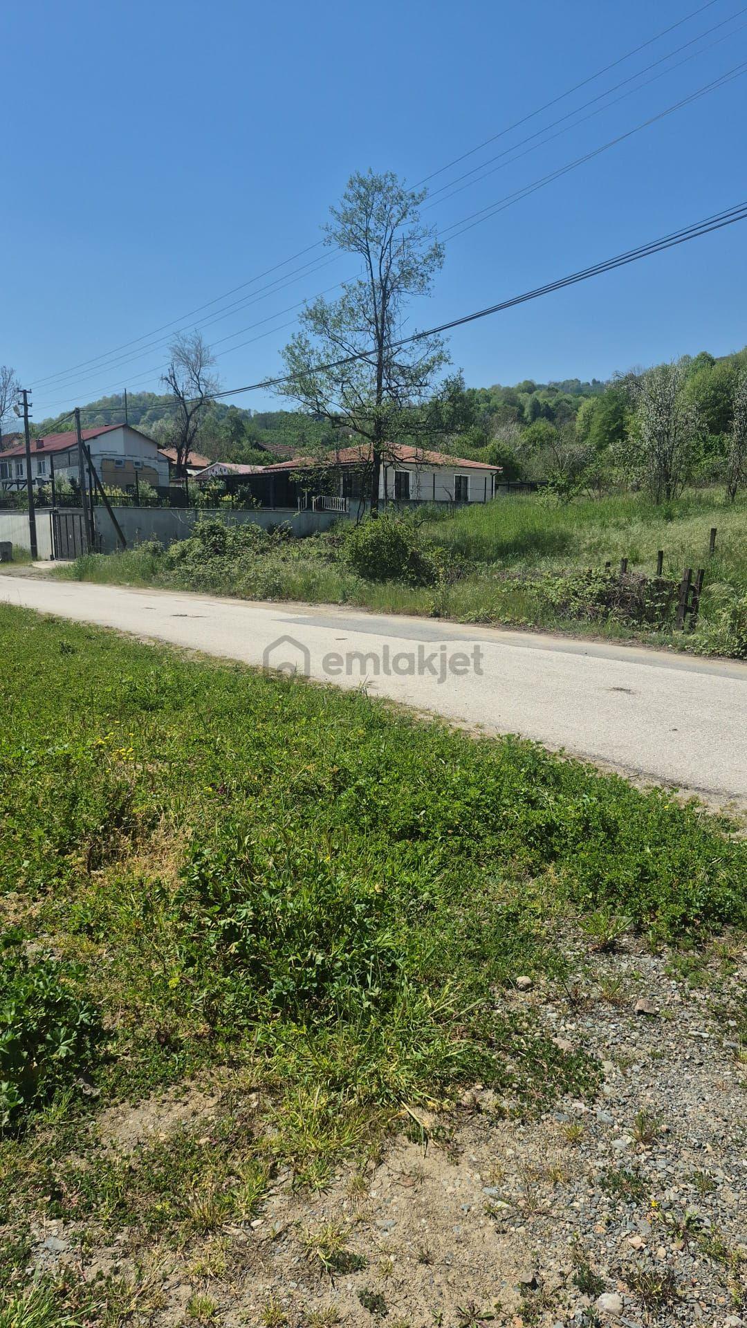 Yaşam Emlak Tan Satılık Bağ Bahçe - 26