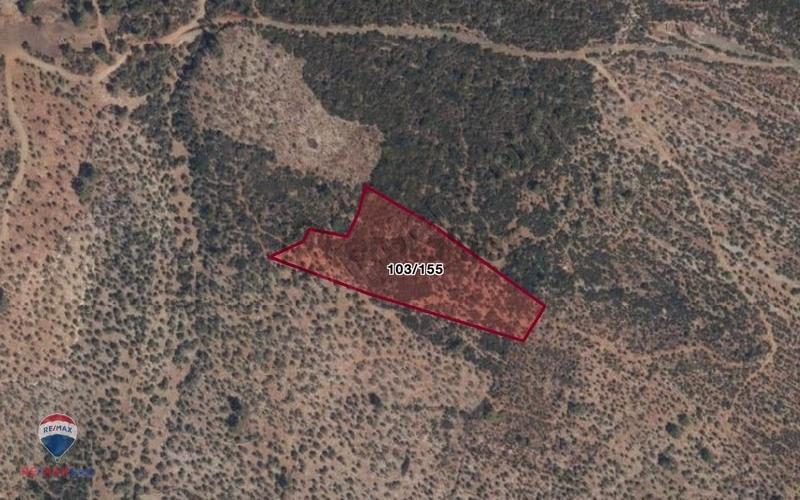 32 Muğla Milas Gürçamlar'da 14688 M2 Satılık Tarla - 3