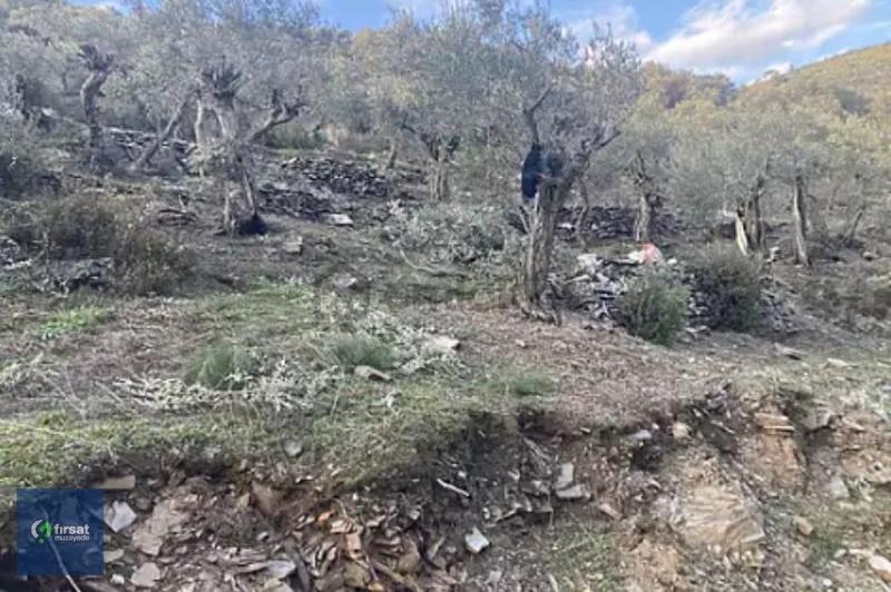Alırken Kazanmanın Adresi ''fırsat Müzayede'' - 3