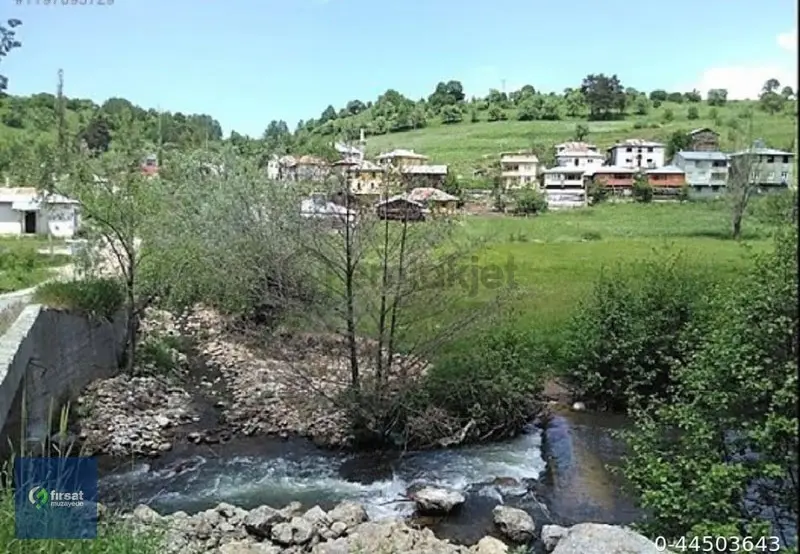 Alırken Kazanmanın Adresi ''fırsat Müzayede'' - 3