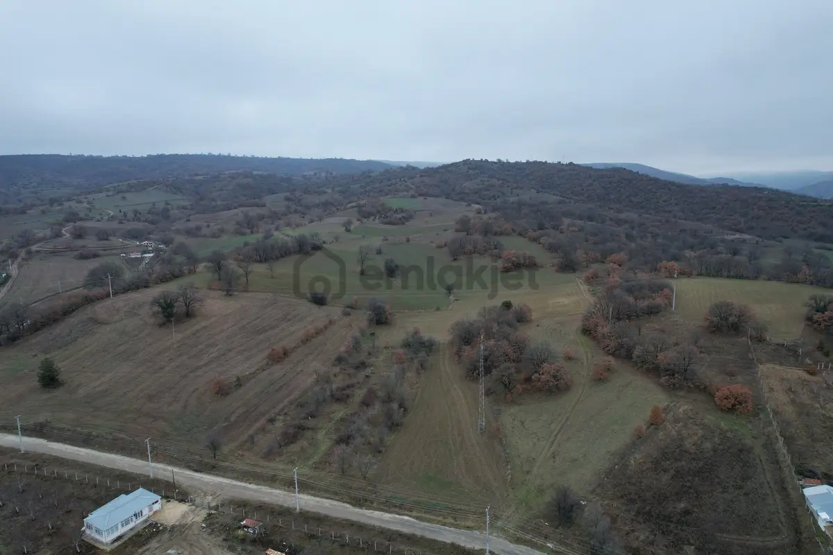 Bilecik Pazaryeri Karaköyde Yola 80 M Cepheli Satılık Fırsat - 16
