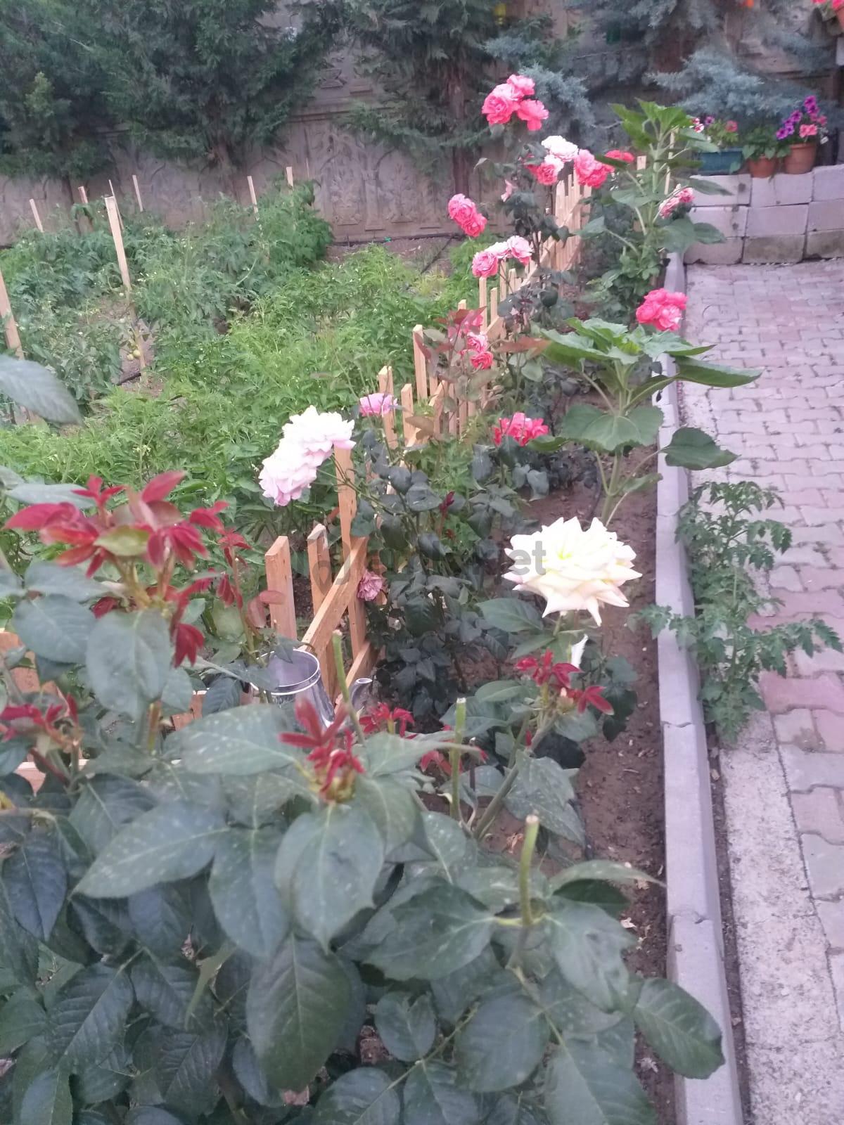 Her İşe Uygun Komple Satılık Ticari Bina - 32