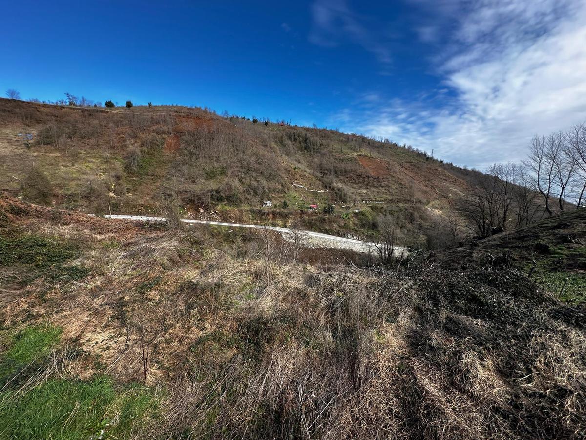 Trabzon Araklı'da Satılık Arazi - 18