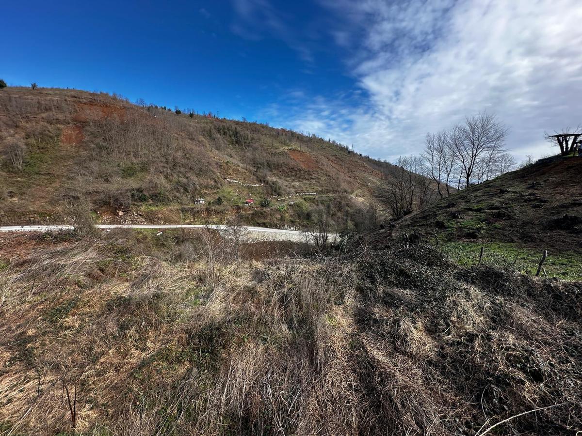 Trabzon Araklı'da Satılık Arazi - 15