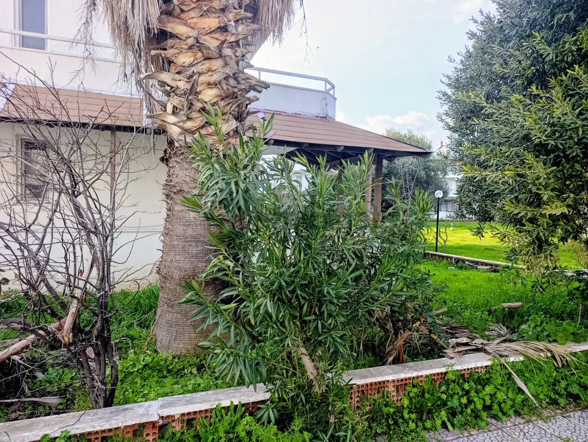 Güre’de Denize 100 Metre Mesafede Tripleks 5+1 Villa - 22