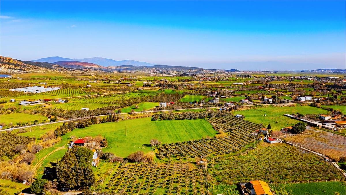 Foça Yenibağarası Mah. Satılık 18 Dönüm Tarla - 33