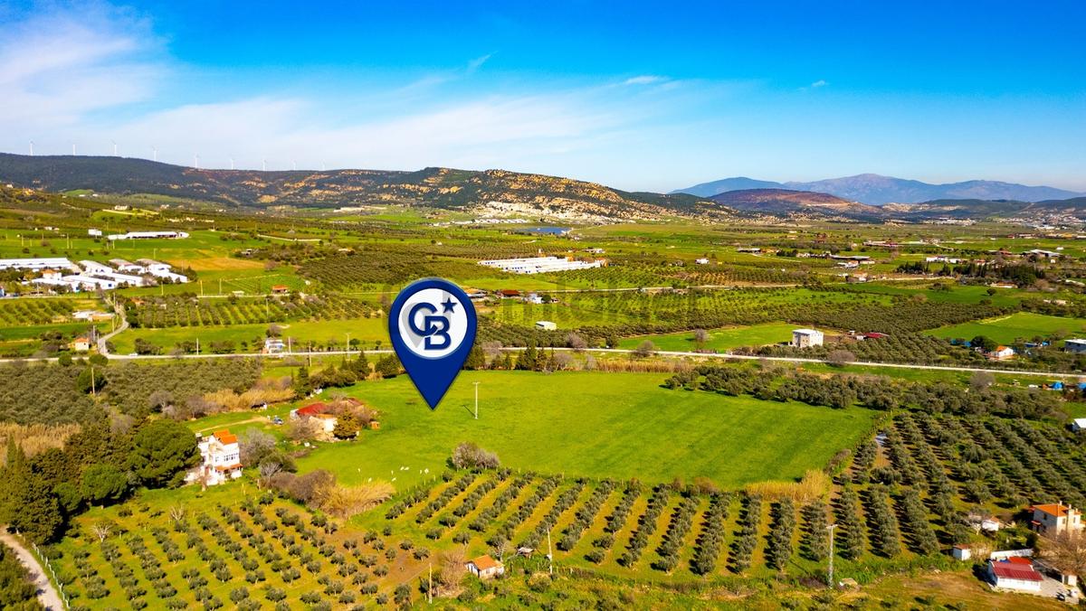 Foça Yenibağarası Mah. Satılık 18 Dönüm Tarla - 27