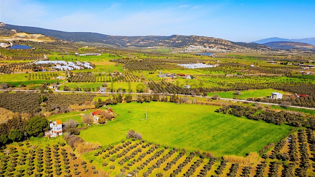 Foça Yenibağarası Mah. Satılık 18 Dönüm Tarla - 25