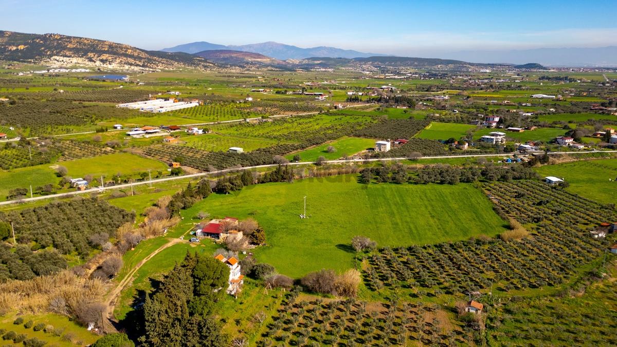 Foça Yenibağarası Mah. Satılık 18 Dönüm Tarla - 29