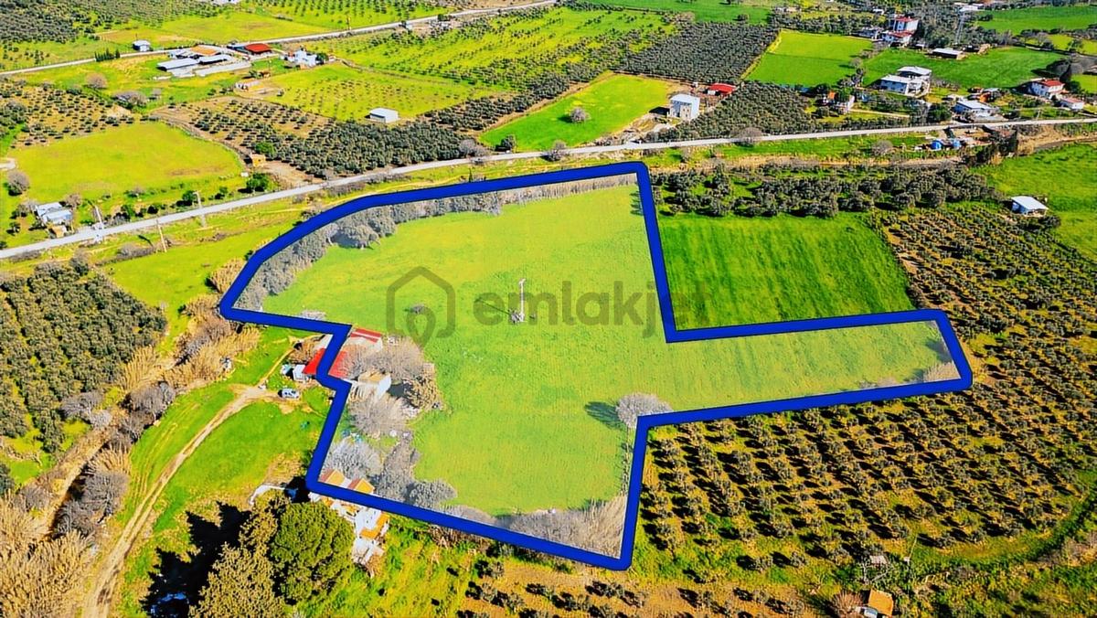 Foça Yenibağarası Mah. Satılık 18 Dönüm Tarla - 32