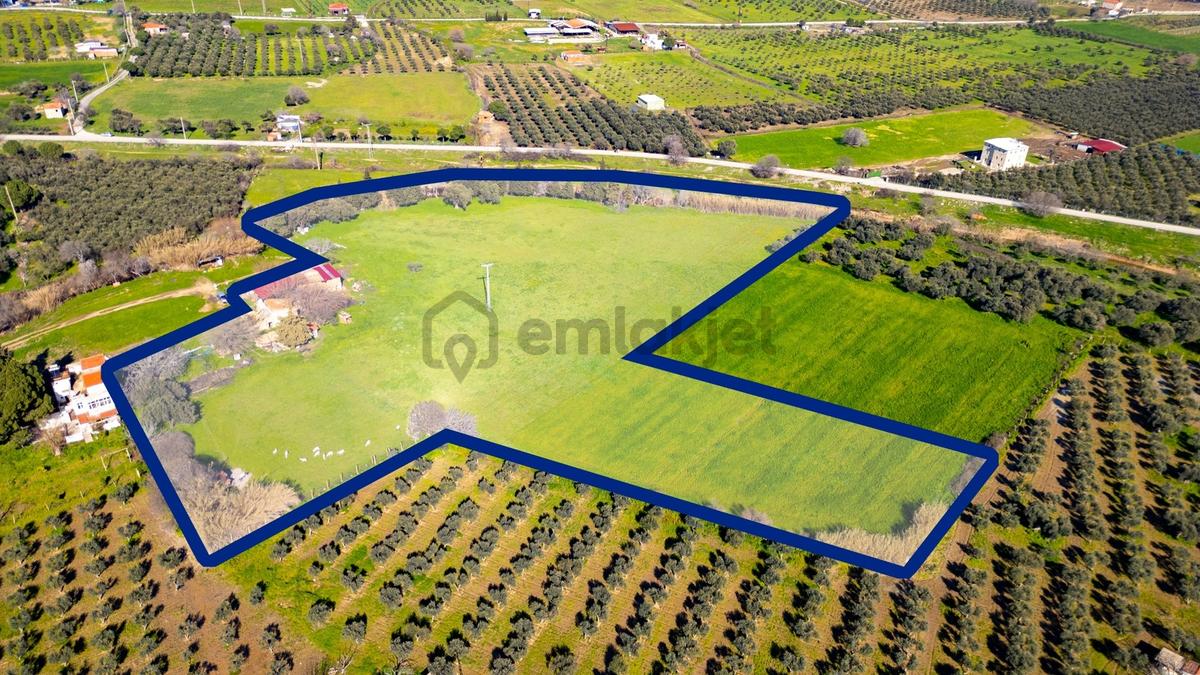 Foça Yenibağarası Mah. Satılık 18 Dönüm Tarla - 3