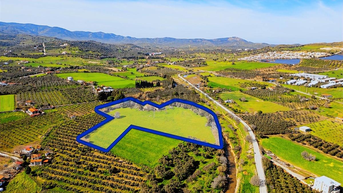 Foça Yenibağarası Mah. Satılık 18 Dönüm Tarla - 31