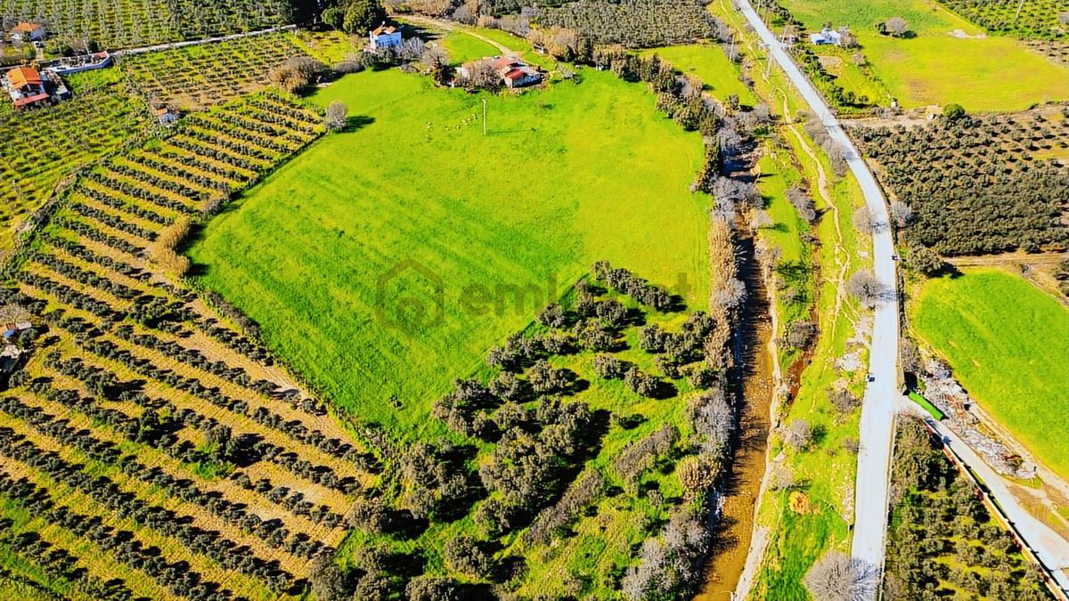 Foça Yenibağarası Mah. Satılık 18 Dönüm Tarla - 15
