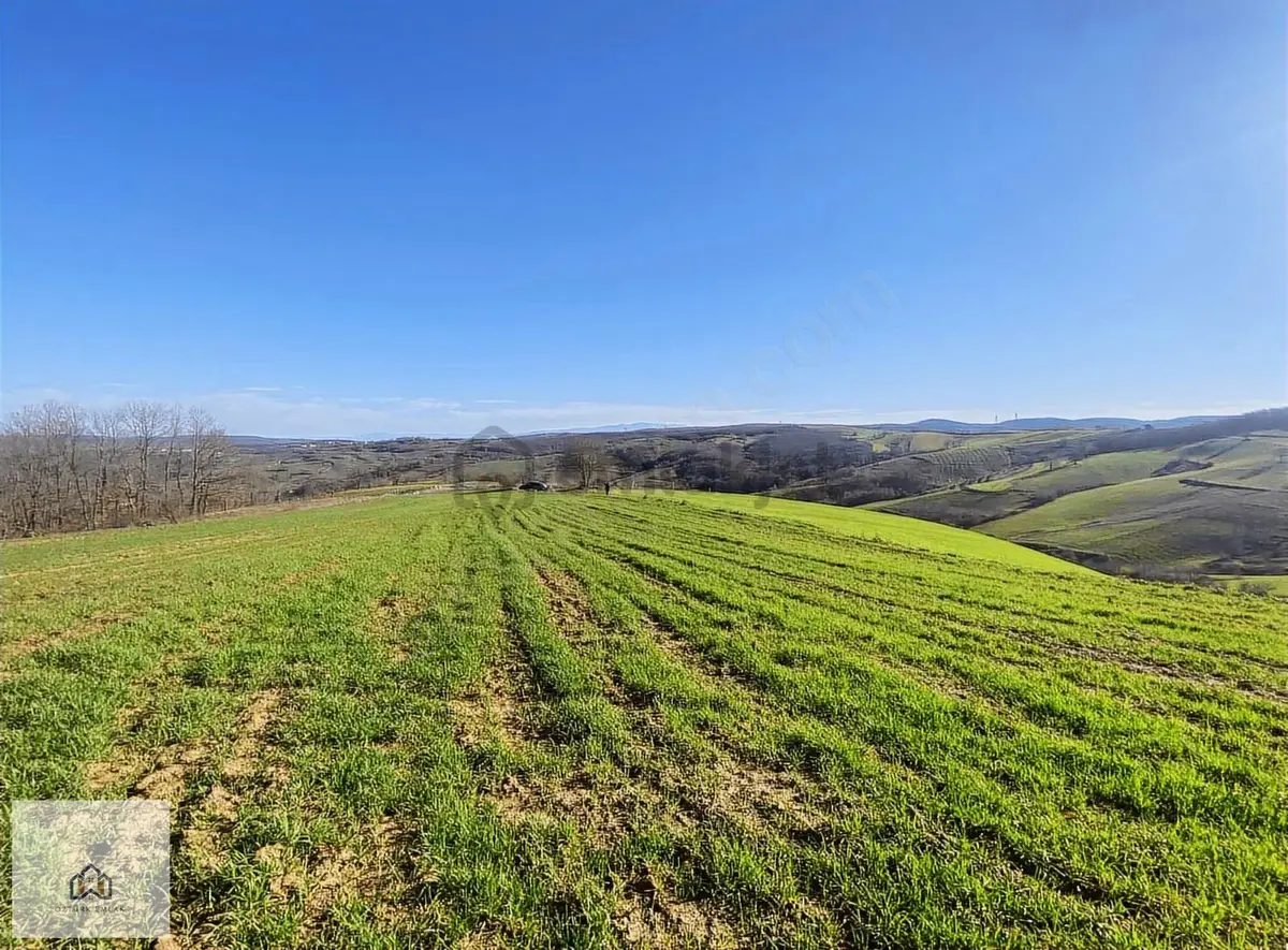 İzmit Kaynarcada 2823m2 Yolu Açık Doğa Manzaralı Tarla - 4