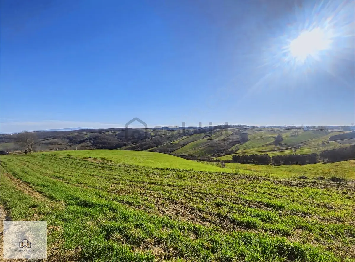 İzmit Kaynarcada 2823m2 Yolu Açık Doğa Manzaralı Tarla - 12