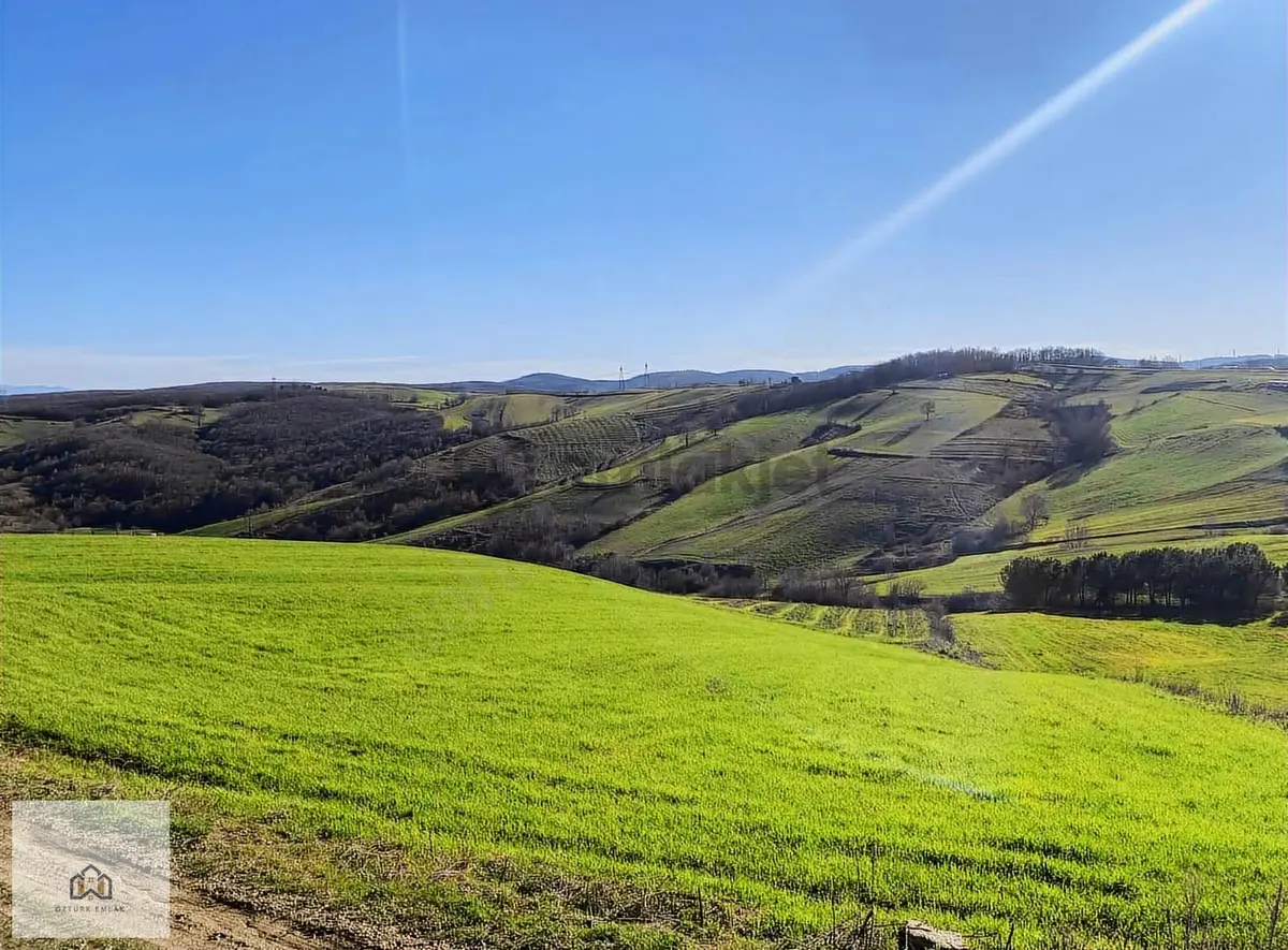 İzmit Kaynarcada 2823m2 Yolu Açık Doğa Manzaralı Tarla - 5