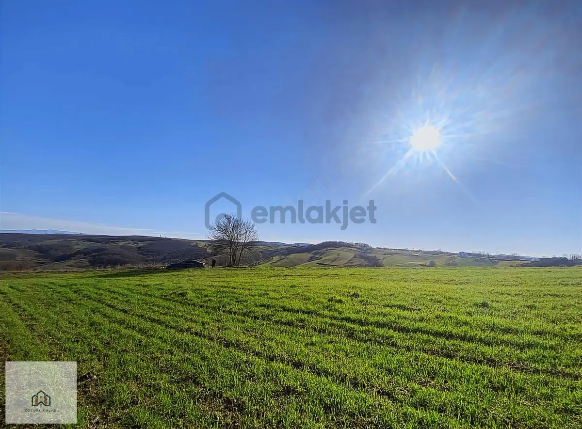 İzmit Kaynarcada 2823m2 Yolu Açık Doğa Manzaralı Tarla - 3