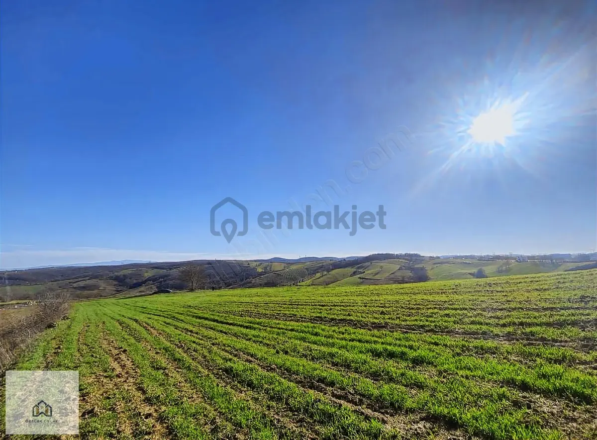 İzmit Kaynarcada 2823m2 Yolu Açık Doğa Manzaralı Tarla - 26