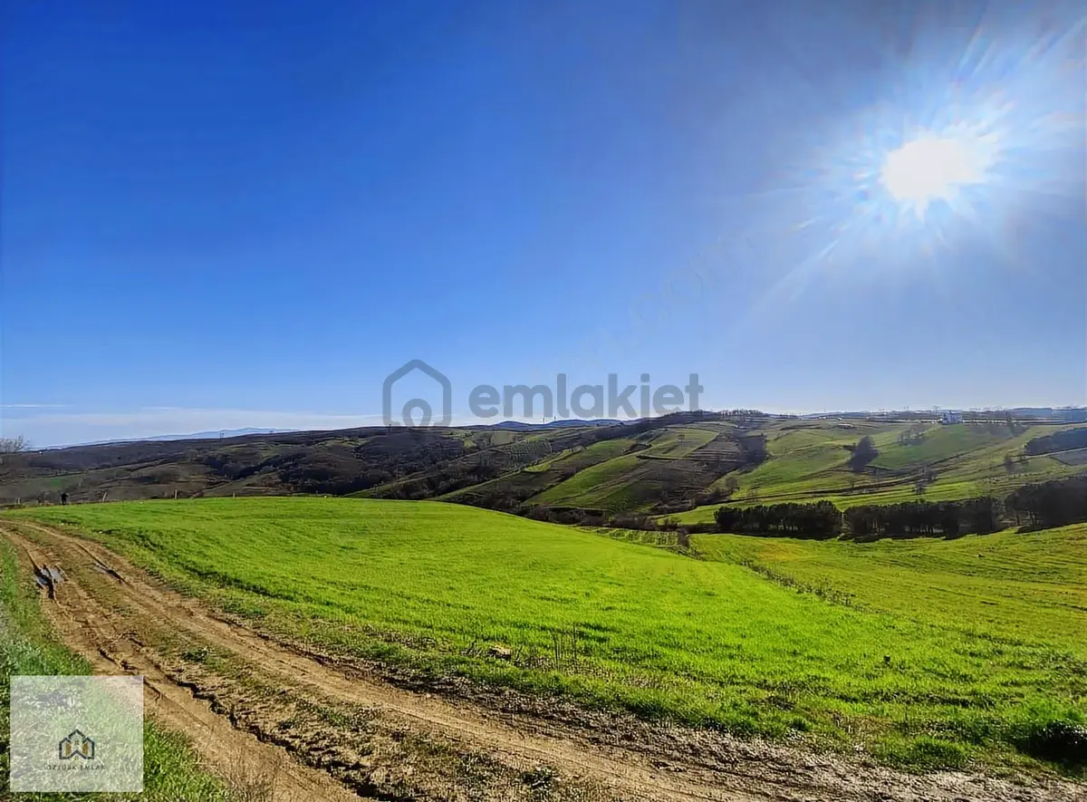 İzmit Kaynarcada 2823m2 Yolu Açık Doğa Manzaralı Tarla - 13