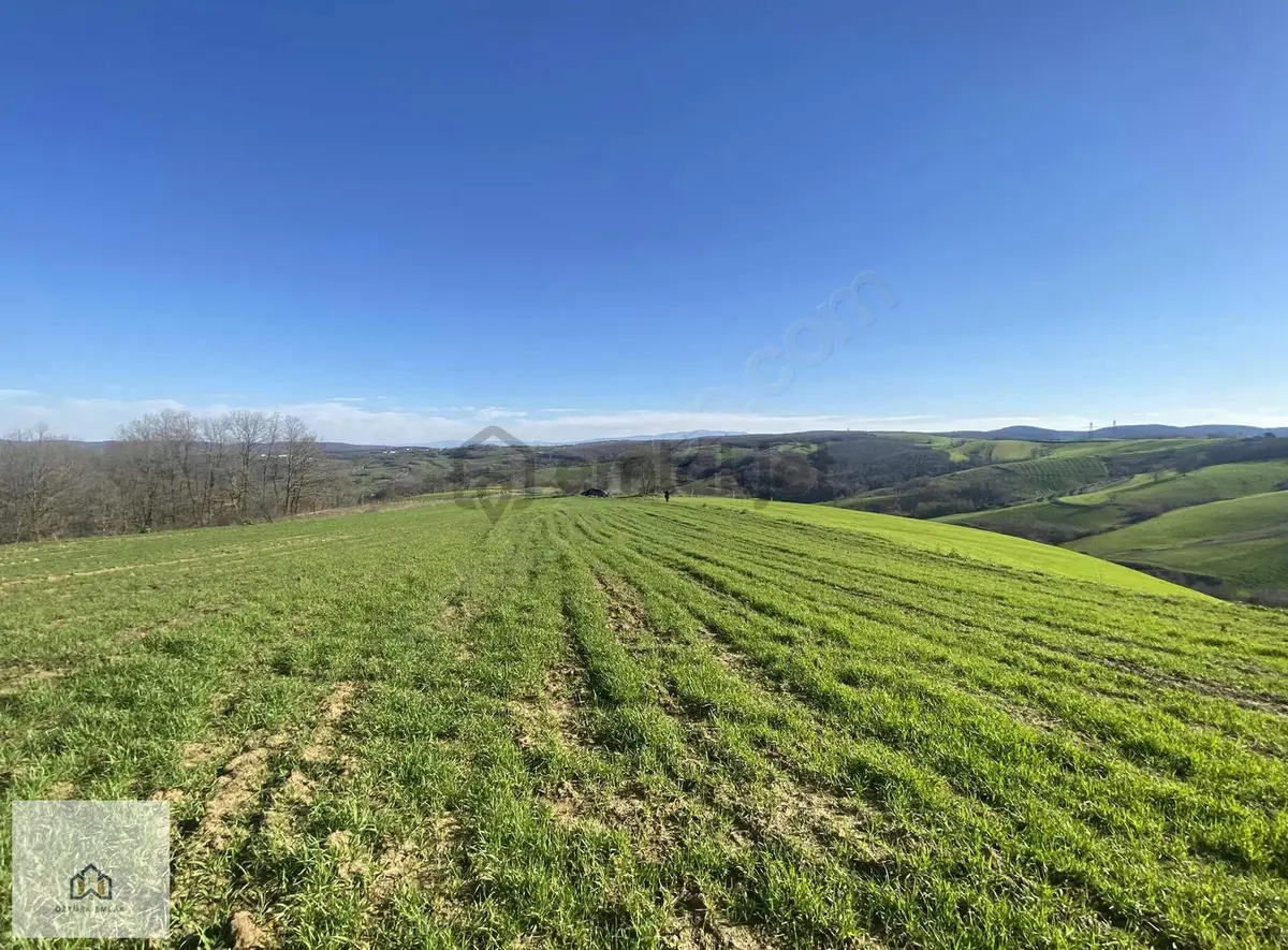 İzmit Kaynarcada 2823m2 Yolu Açık Doğa Manzaralı Tarla - 24
