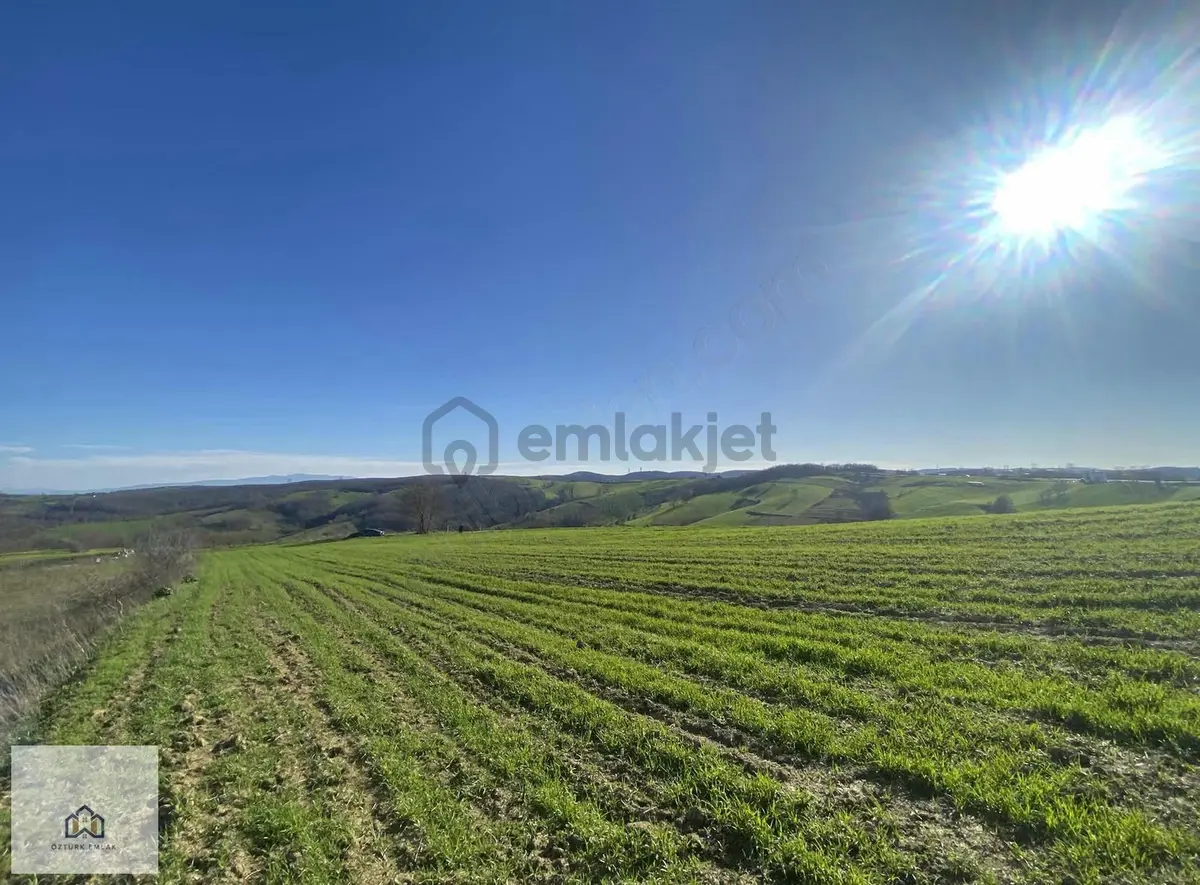 İzmit Kaynarcada 2823m2 Yolu Açık Doğa Manzaralı Tarla - 18