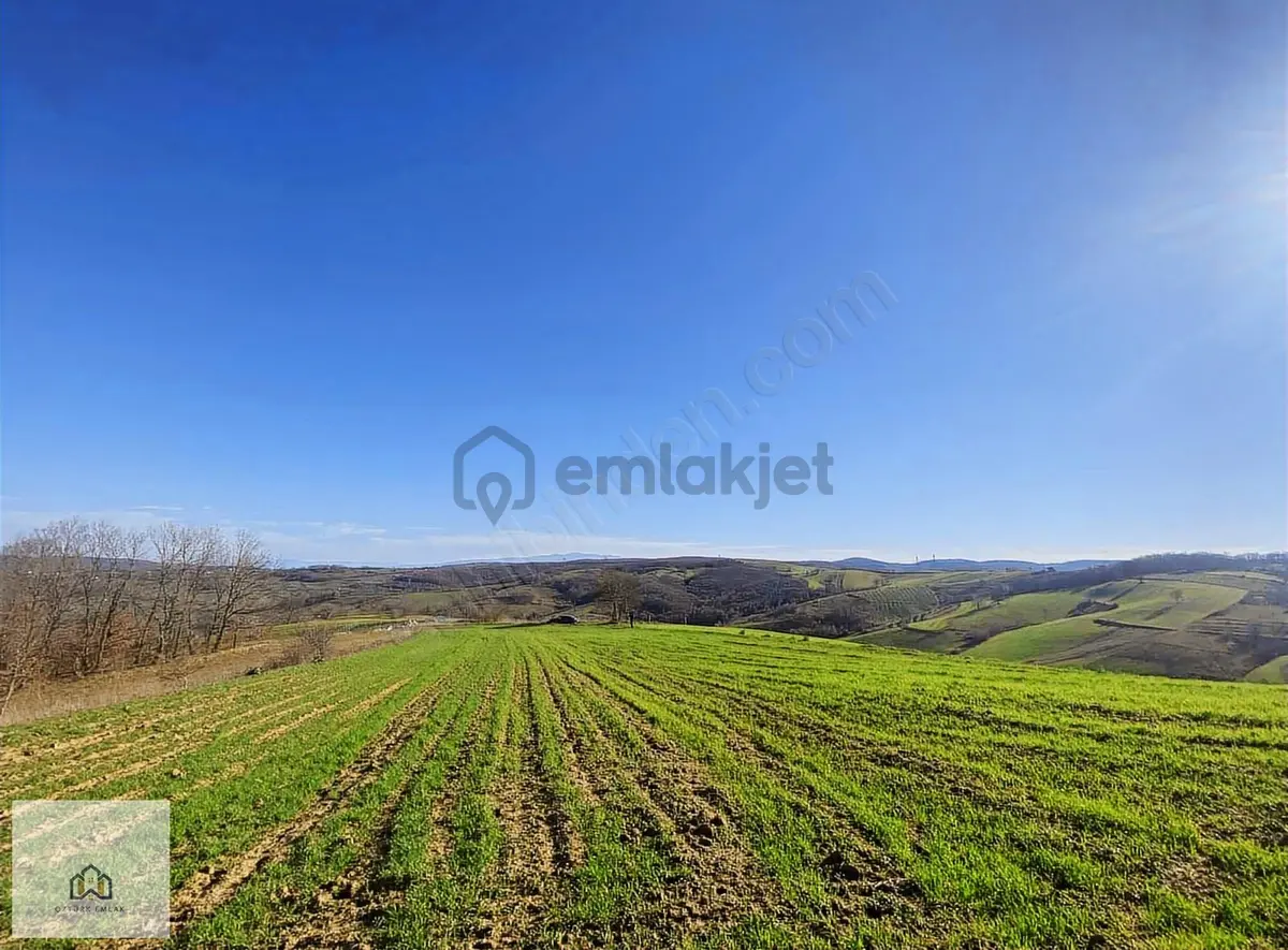İzmit Kaynarcada 2823m2 Yolu Açık Doğa Manzaralı Tarla - 10