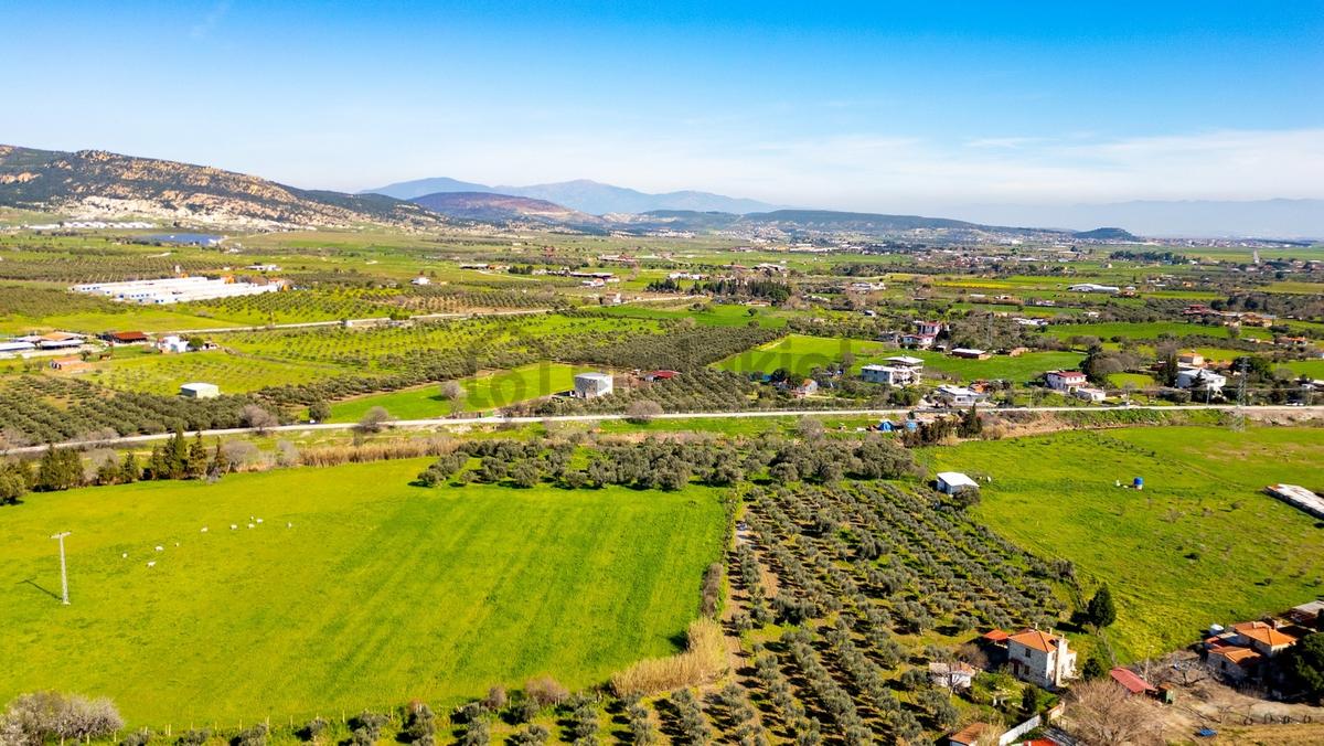 Foça Yenibağarası Mah. Satılık Tarla - 17