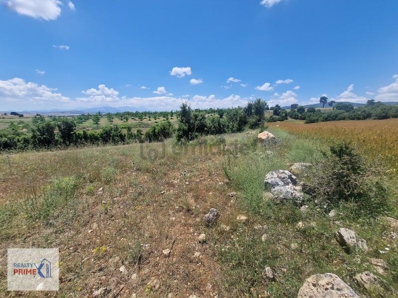 Korkuteli Kevser Mah 1.117 M2 Satılık Tarla - 6