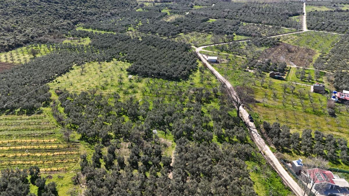 Nilüfer Fadıllı'da Göl Manzaralı, 4000m² Bahçe - 6