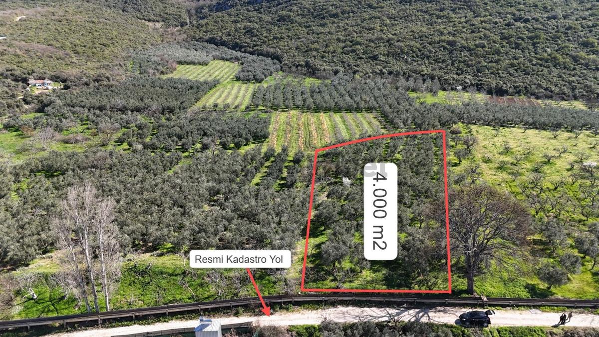 Nilüfer Fadıllı'da Göl Manzaralı, 4000m² Bahçe - 3