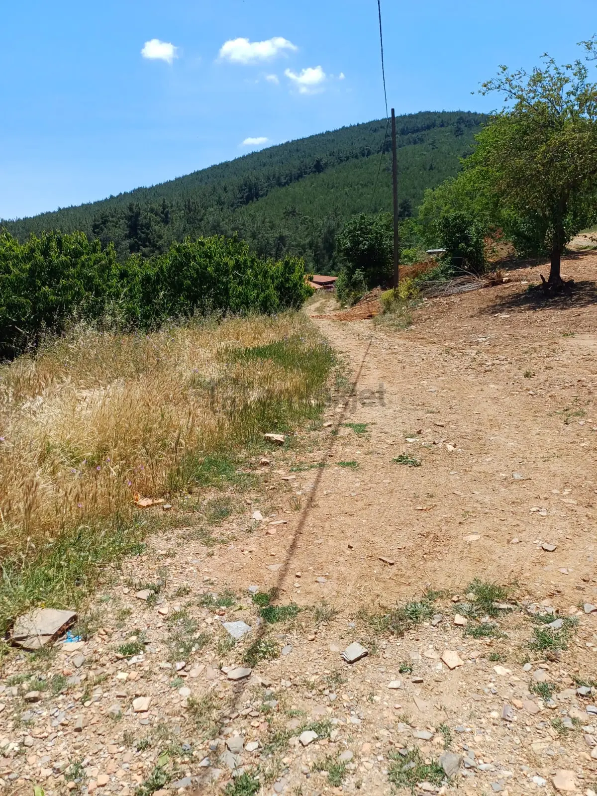 İzmir Bayındır Dernekli De Satılık %50 Köyiçi İmarlı 195 M2 İki Kat Etrafında Taş Evler Yapılıyor - 12