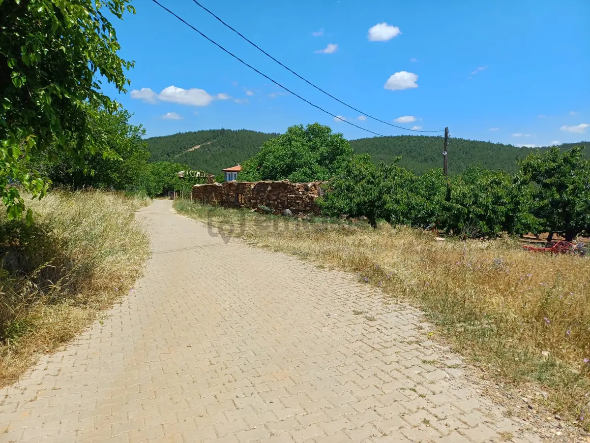 İzmir Bayındır Dernekli De Satılık %50 Köyiçi İmarlı 195 M2 İki Kat Etrafında Taş Evler Yapılıyor - 9