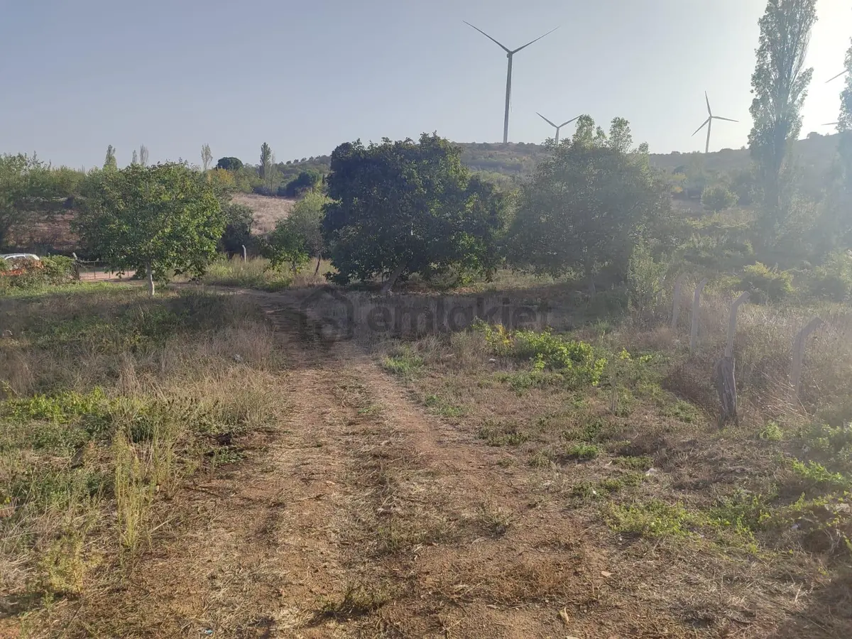 Bandırma Edincik'te İmar Planı İçerisinde Satılık 2419m² Bağ - 4