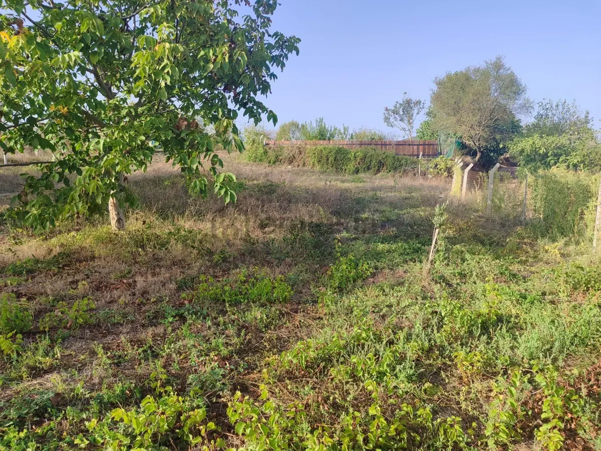 Bandırma Edincik'te İmar Planı İçerisinde Satılık 2419m² Bağ - 2