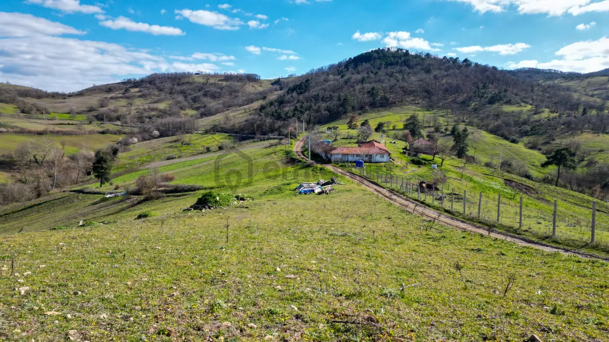 Kocaeli Karamürsel Çamdibi 1719 M2 Satılık Tarla - 9