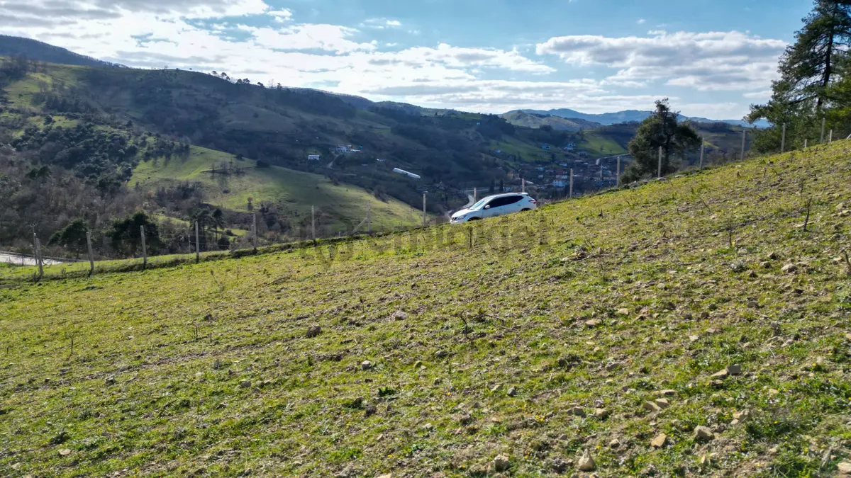 Kocaeli Karamürsel Çamdibi 1719 M2 Satılık Tarla - 11