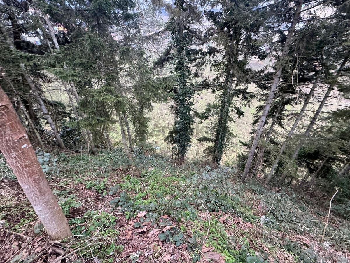 Trabzon Maçka Esiroğlunda Satılık Arazi - 12